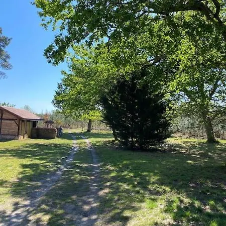 Maisonnette 2 Pers Tout Confort Au Coeur De La Foret *
