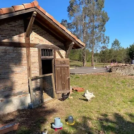 Maisonnette 2 Pers Tout Confort Au Coeur De La Foret Feriehus