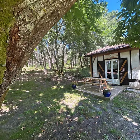 Maisonnette 2 Pers Tout Confort Au Coeur De La Foret Lesperon (Landes)
